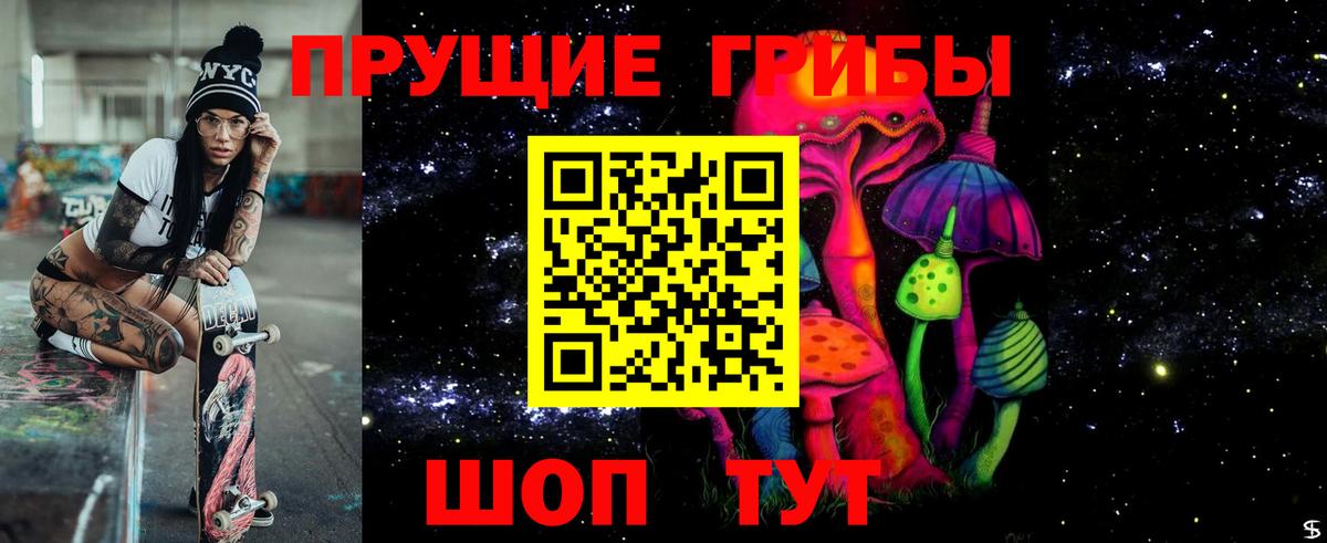 Чита  Псилоцибиновые грибы GOLDEN TEACHER  Вход с VPN 