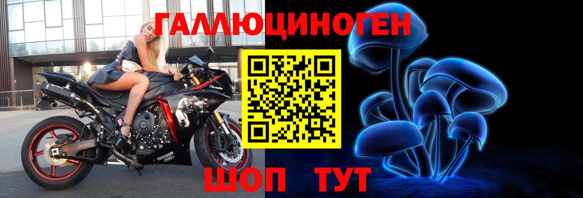 Псилоцибиновые грибы GOLDEN TEACHER Чита